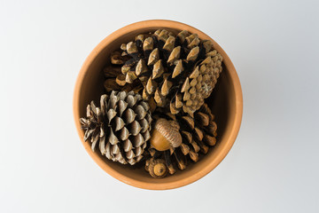 Clay Pot of Pinecones on White Background Top View