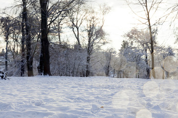 Snow drifts in winter