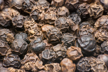 Black pepper grains as background close up