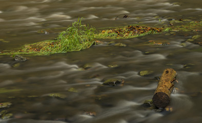 Chribska Kamenice river in national park Ceske Svycarsko
