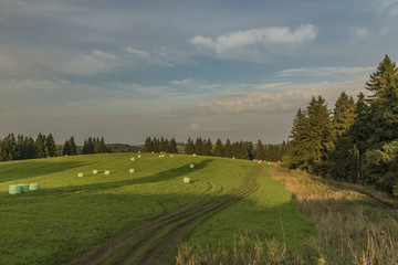 Evening in Slavkovsky les national park