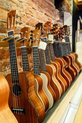 Guitar Shop