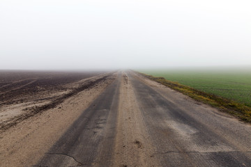 asphalted road, autumn and fog
