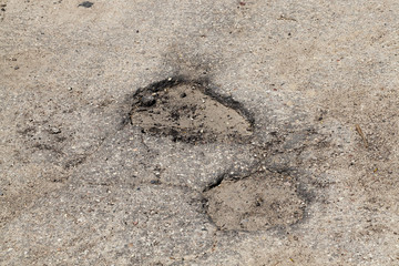 two potholes