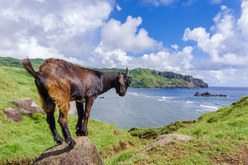 Imnajbu Old Naval Base Alapad, Batan Island , Batanes