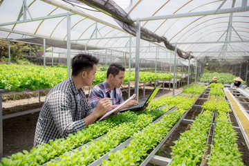 two team using laptop in hydrophonic farm