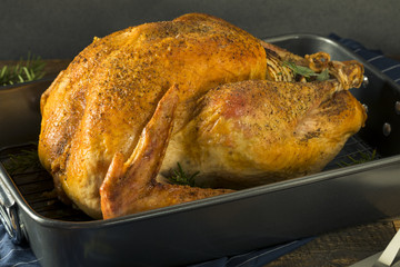 Organic Free Range Homemade Thanksgiving Turkey