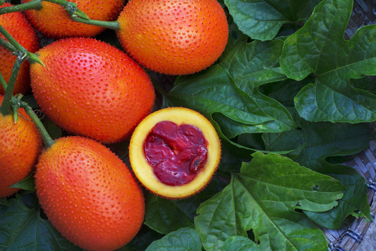 Fototapeta gac fruit or momordica or sweet gourd