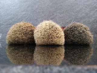 Badger hair shave brushes