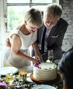 Newlywed Couple Hands Cutting Cake Together