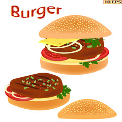 Fried cutlet and bread. Sandwich with cheese. Roasted steak on the bread on white background. Meat rissoles, tomato, onion, lettuce. Vector illustration for a recipe, restaurant menu, kitchen interior