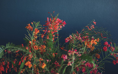 Wild flowers by the wall