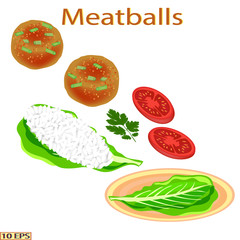 Grilled meatballs and white rice. Fried cutlet and garnish. Meat rissole, rice, green vegetables. Vector illustration.
