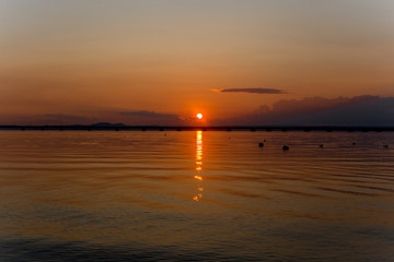 Obraz premium Sunset over calm sea. Few gulls on the sea surface.