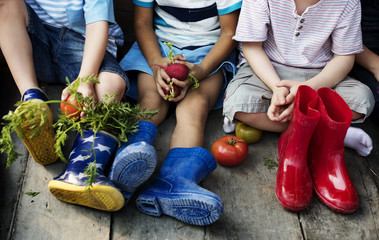 Group of kindergarten kids little farmers learning gardening