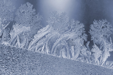 the unusual frost on a winter window