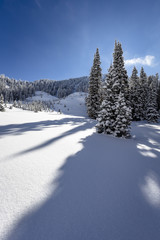 Fototapeta na wymiar Snowy Meadow