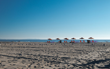 Umbrellas on Santa Monica Beach