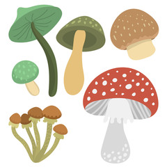 Amanita fly agaric toadstool mushrooms fungus different art style design vector illustration red hat