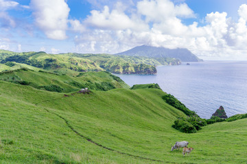 Fototapeta na wymiar Mahatao Hill at Batan Island , Batanes