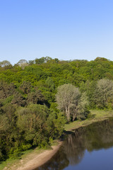 Fototapeta na wymiar tree near the river