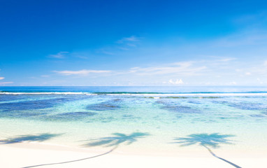 Tropical beach on Samoa