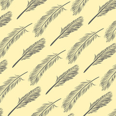 Feather Pattern