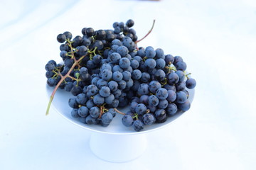 Harvest time. A white bowl full of fresh red grapes in late afternoon sun
