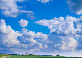 Obraz premium 北海道 美瑛町 パッチワーク 丘のまち