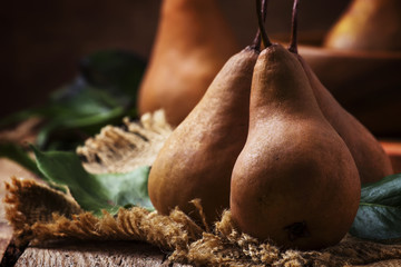 Fresh autumn brown pears on vintage wooden background, still life, top view