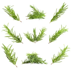 Papier Peint photo Aromatique rosemary herb isolated on a white background