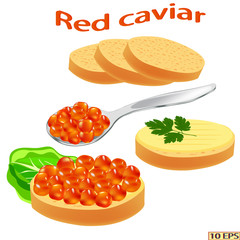 Red caviar close-up.  Salmon caviar. Sandwich with red caviar isolated on white background.  Vector illustration.