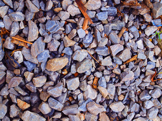 Vary size blue grey granite construction wet rock and stone texture floor, with small brown fallen leaf background