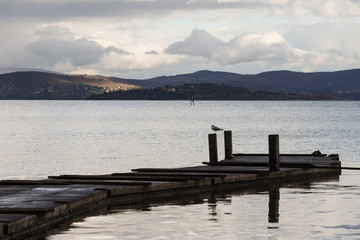 A seagull on a pole over a pier, with beautiful water reflections and distant hills in the background