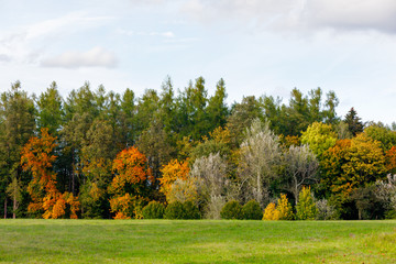 Autumn trees with yellow and orange leaves