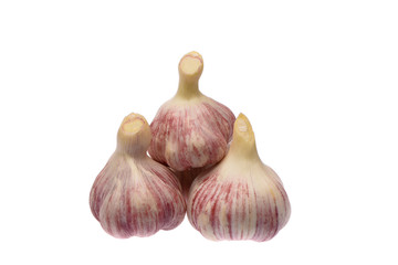Garlic bulbs