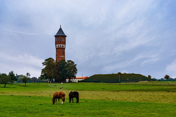 Weidende Kühe und Pferde vor dem historischen Wasserturm Strelitz-Alt (Ansicht von Osten)