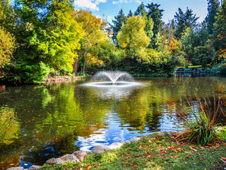 Lake in the public Beacon Hill Park, Victoria BC Canada