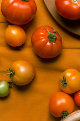 Fresh organic tomatoes of different colors on mustard yellow textile background. Harvest concept. Overhead view, natural lighting.