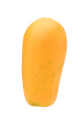 Upright papaya