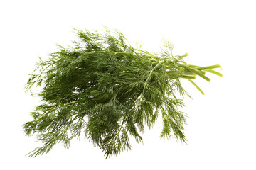 Branches of dill