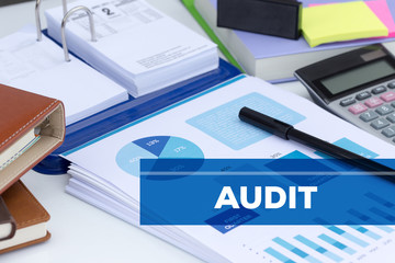 AUDIT CONCEPT