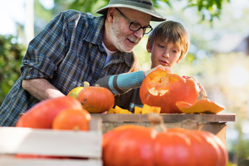 Father teaching his son how to carve a pumpkin for halloween. © jackfrog