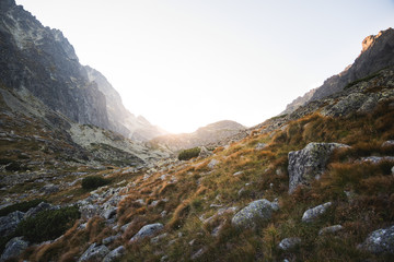 Mountain Landscape with Rocks and Plants in Foreground at Sunset. Velicka Valley, High Tatra, Slovakia.