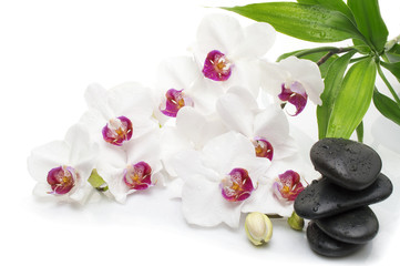 Naklejka na ściany i meble Spa white orchid with massage stones on white