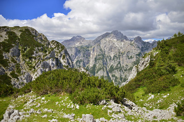 View from Pokljuka mountain on neighborhood mountains, Slovenia