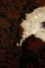 cow fur texture