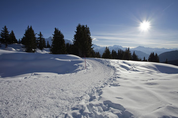 Winterlich verschneite Landschaft in den Alpen 