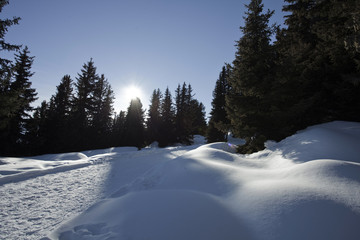 Fototapeta na wymiar Winterlich verschneite Landschaft in den Alpen 