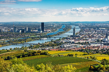 Wien Panorama im Herbst - obrazy, fototapety, plakaty